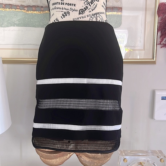 Black and white skirt Mesh Stripe Black Pencil - Picture 4 of 13